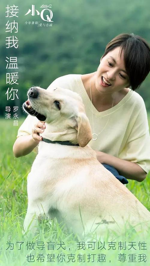 威尔克斯大学文凭毕业证哪里有卖